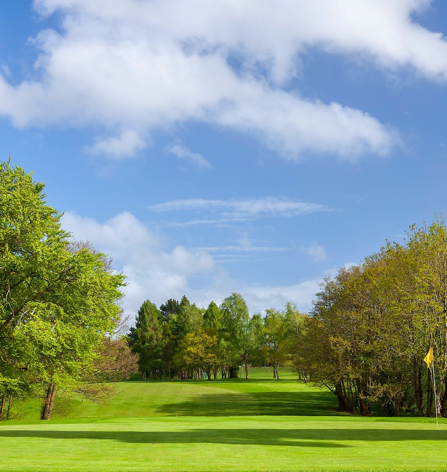 Meon Valley Hotel Golf Meon Valley Hotel Golf