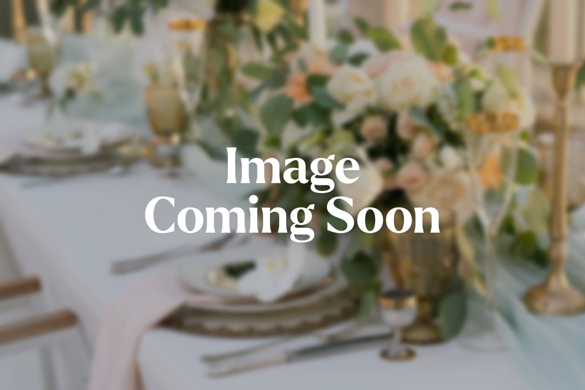 Image Coming Soon Image Coming Soon