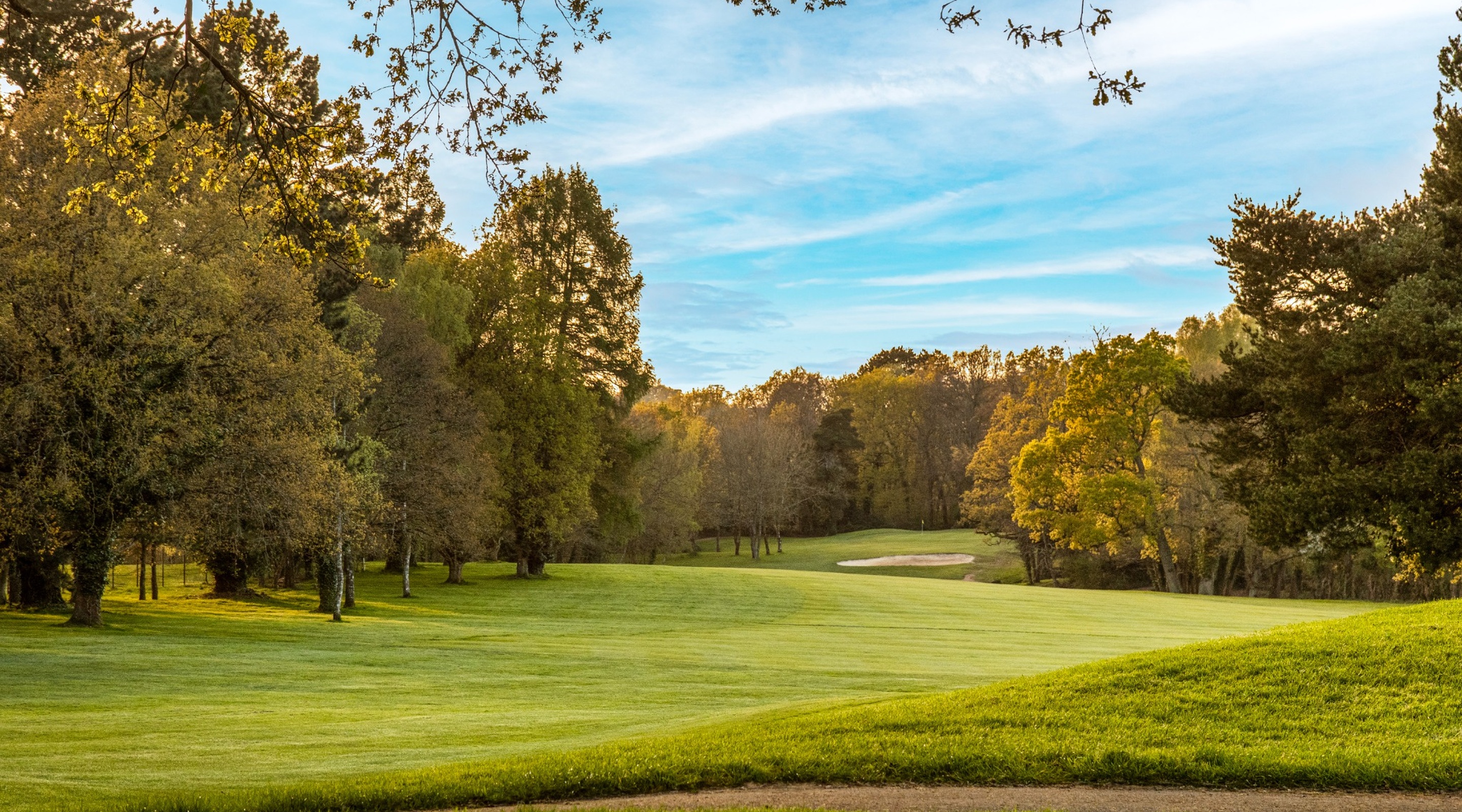 Meon Valley Hotel Golf