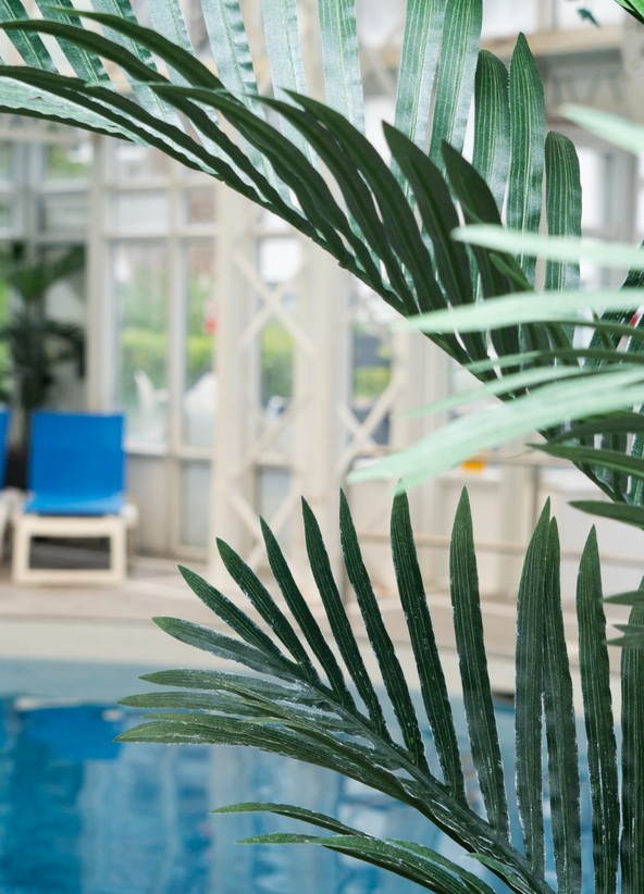 Basingstoke Swimming Pool